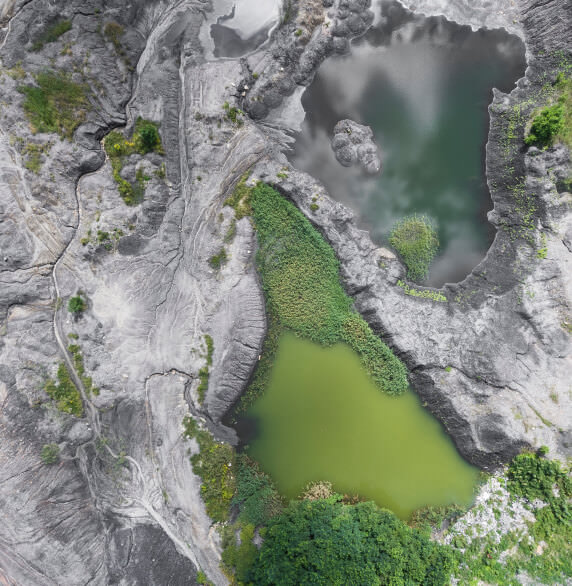 How you can contribute